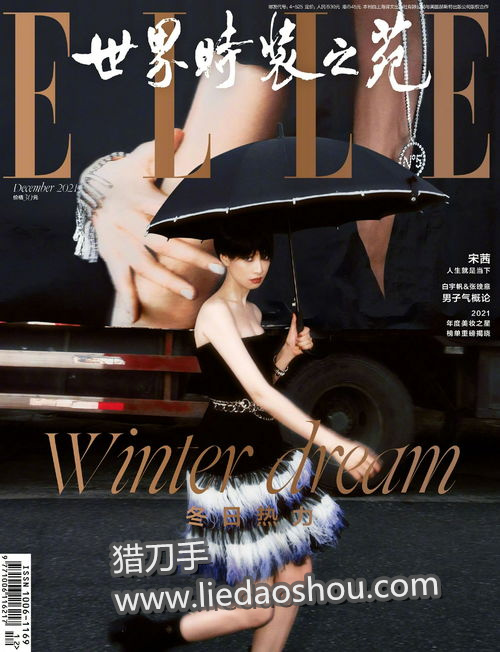 facebook下载不了怎么办_脸书(fb)相关问题